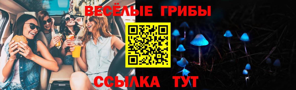 Боровичи  Галлюциногенные грибы ЛСД  Вход с VPN 